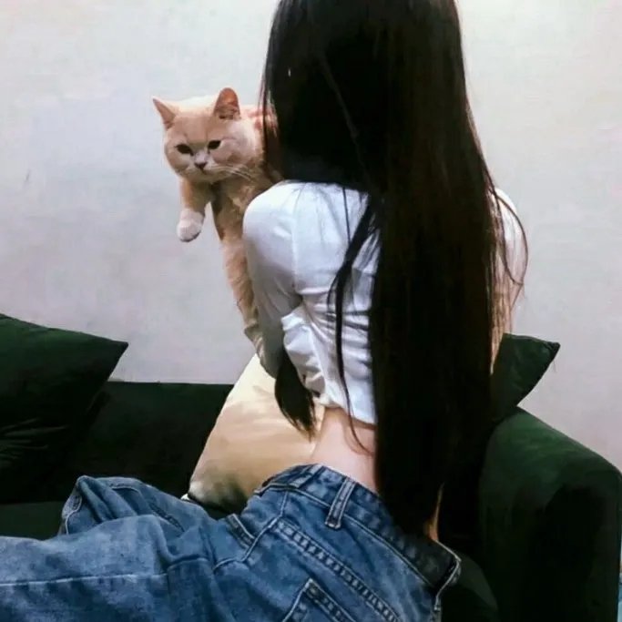冒牌搭档